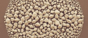 1800346_698363160203408_31432139_n1