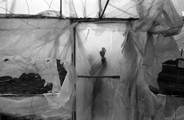 003_arif_asci_theredlist