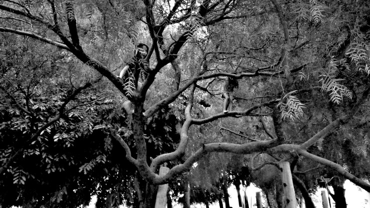 IMG_20170408_174720997 (1).jpg