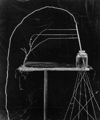 014_zeke-berman_theredlist