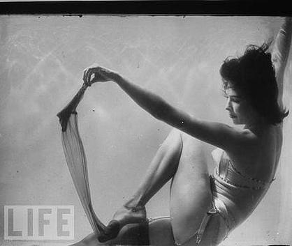 d8d46b_588ead9124ae012be770cae3def54c23