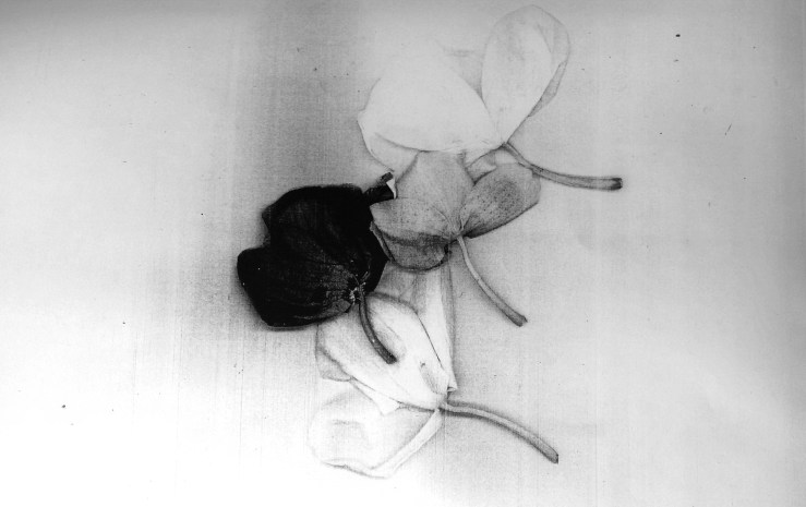 img_20161005_151116624-1