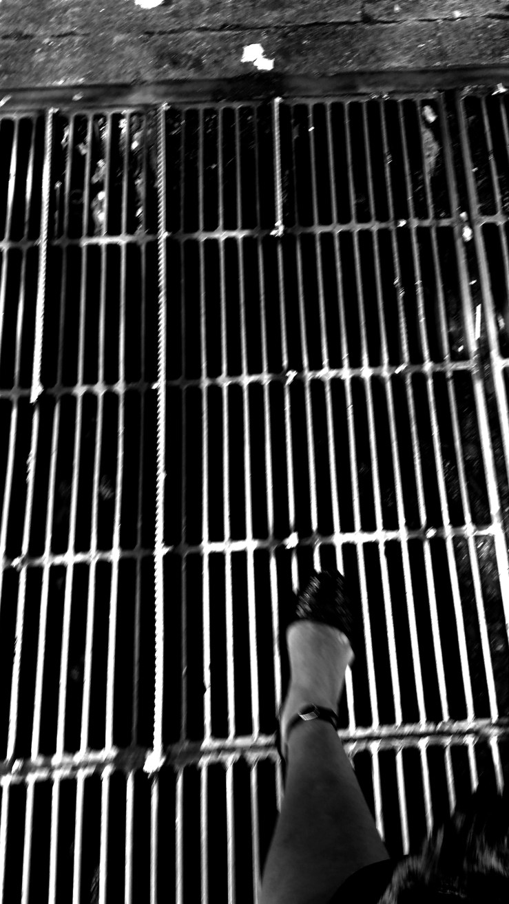 IMG_20170211_153258586 (1)