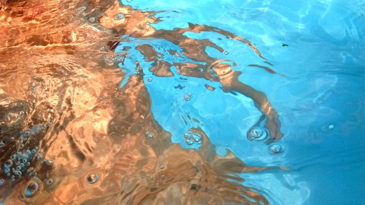 IMG_20170311_152649594 (2).jpg