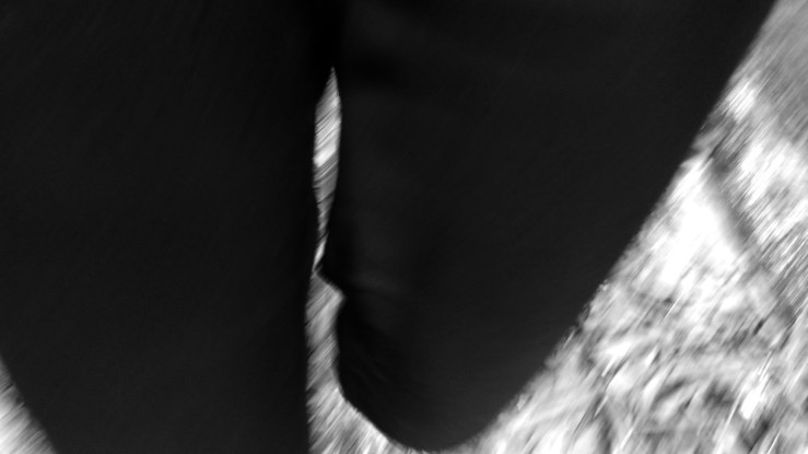 IMG_20170405_120744442 (1).jpg