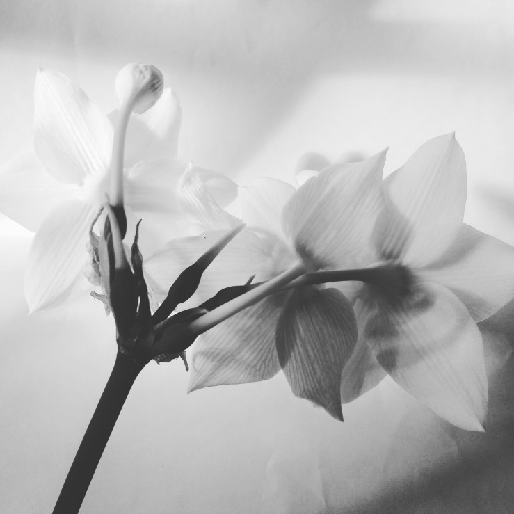 IMG_20170725_174929_868