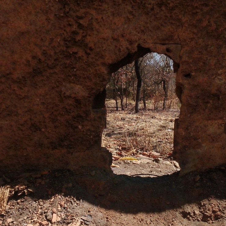 IMG_20170901_064008_474[1]