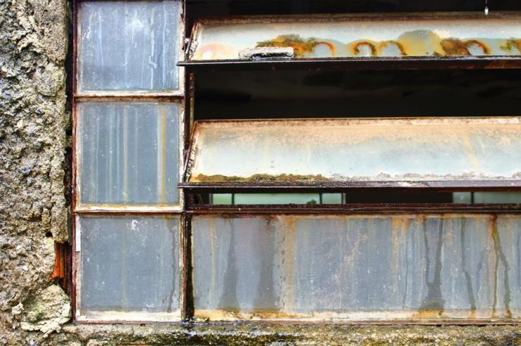 24337481_2394579914101000_1290404853_n