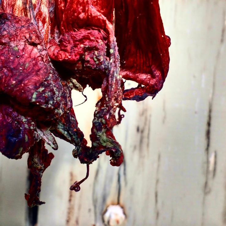 22497185_2465887170303607_1292629647_o